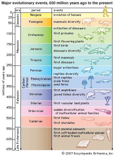 Geological Column